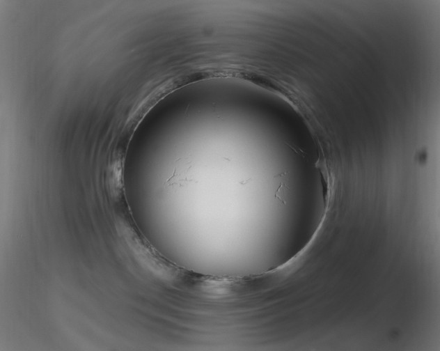 X0000116790190200912181303