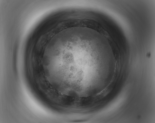 X0000116790191200912181303