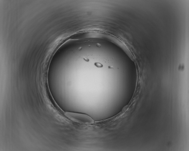 X0000116790193200912181302