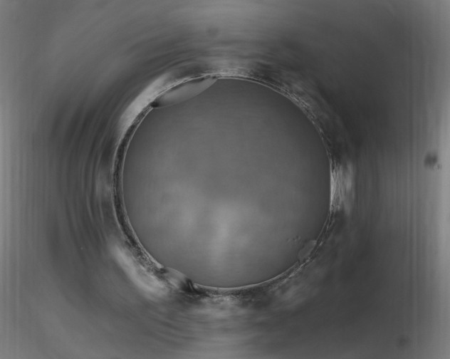 X0000116790195200912181302