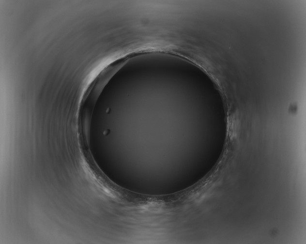 X0000116790196200912181302