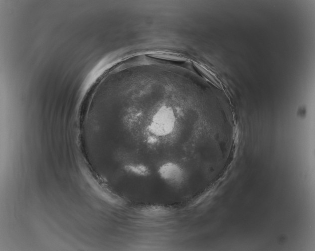 X0000116790198200912181302