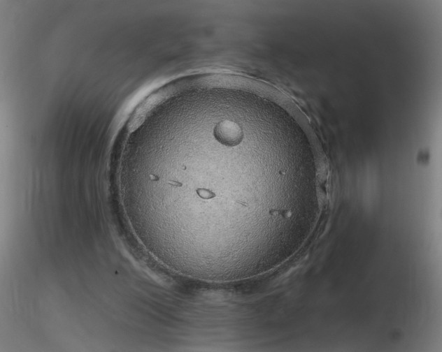 X0000116790200200912181302