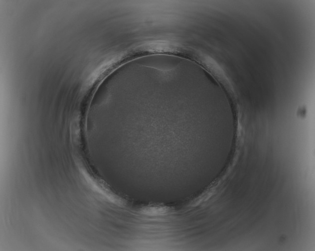 X0000116790202200912181302