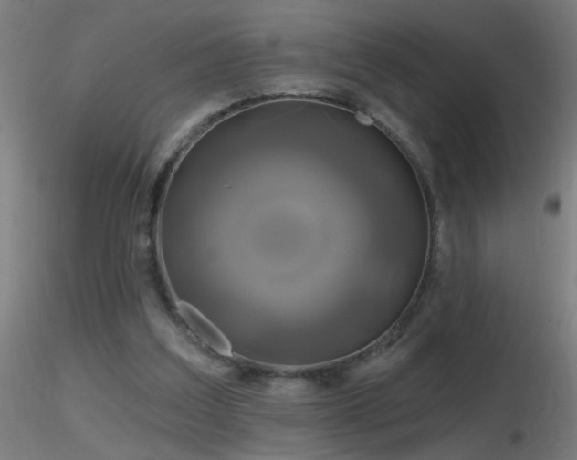 X0000116790203200912181302