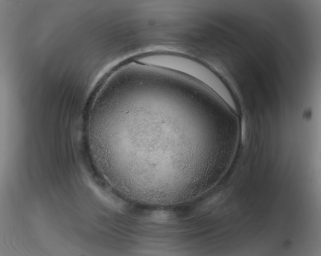 X0000116790204200912181302