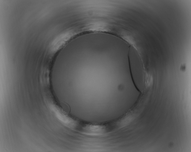 X0000116790205200912181302