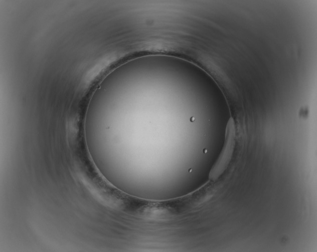 X0000116790208200912181302