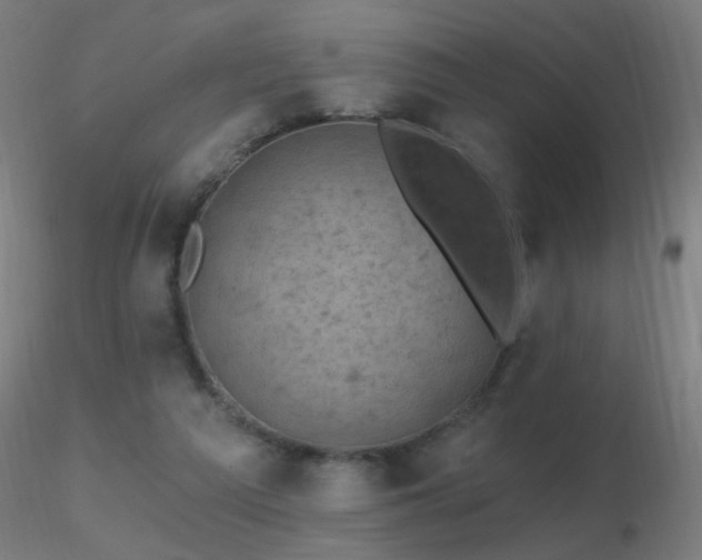 X0000116790209200912181302