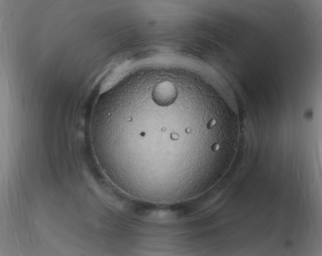 X0000116790212200912181302