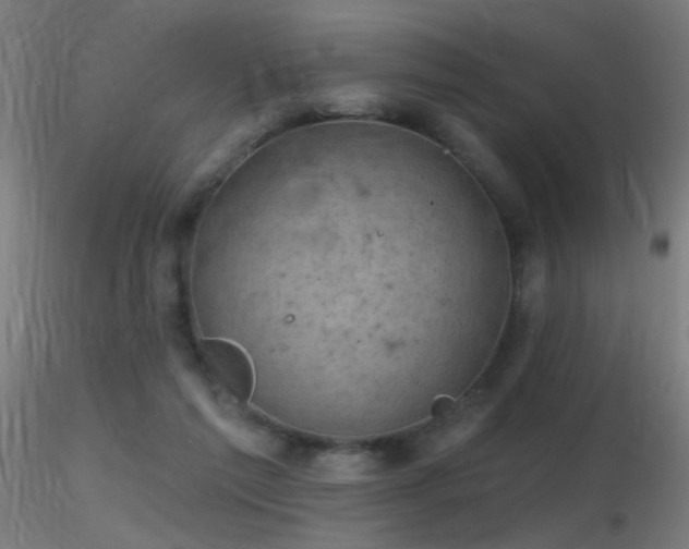 X0000116790213200912181302