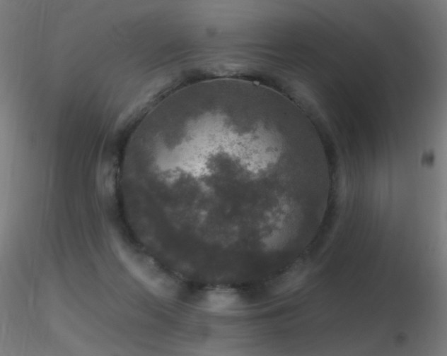 X0000116790214200912181302