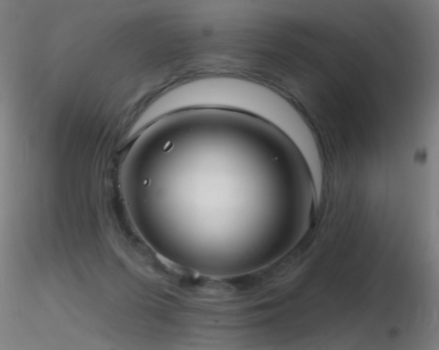 X0000116790215200912181302