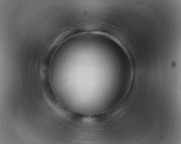 X0000116790216200912181302