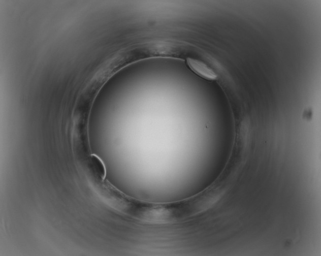 X0000116790217200912181302