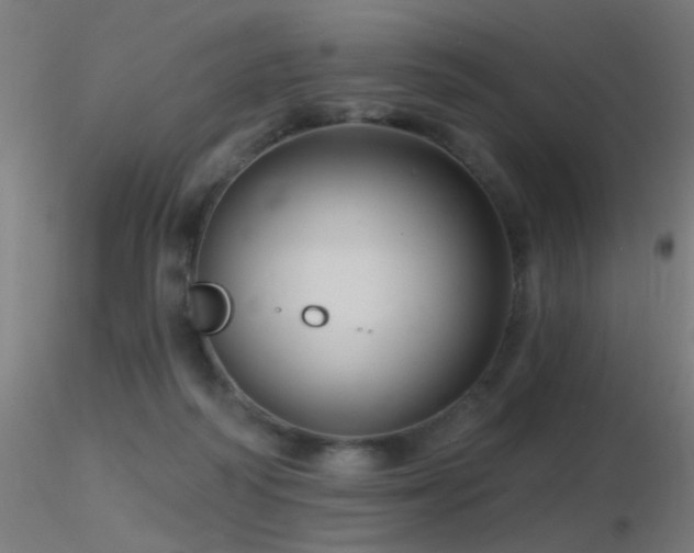 X0000116790218200912181302