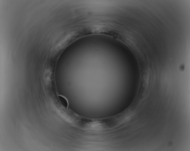 X0000116790219200912181302