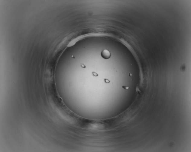 X0000116790220200912181302