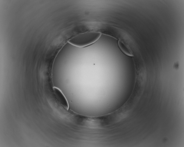 X0000116790221200912181302