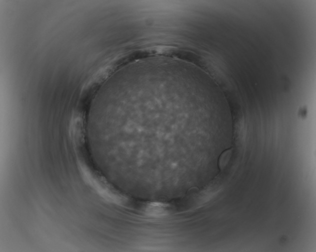 X0000116790222200912181302