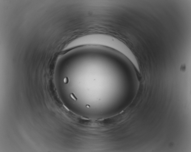 X0000116790223200912181302