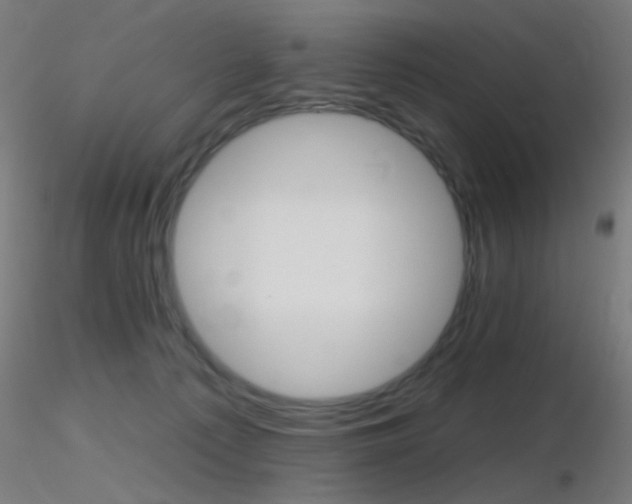 X0000116790225200912181302