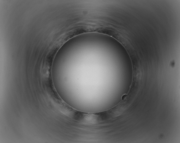 X0000116790226200912181302