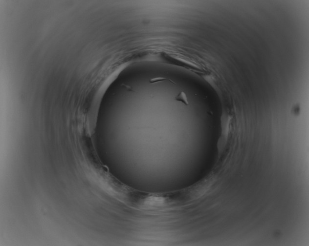 X0000116790227200912181302