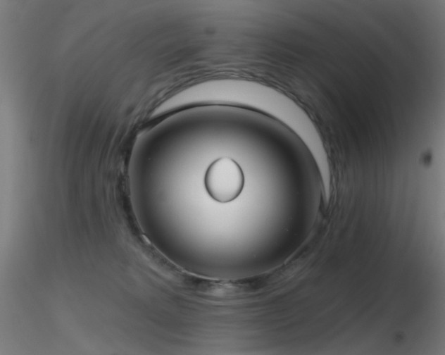 X0000116790229200912181302