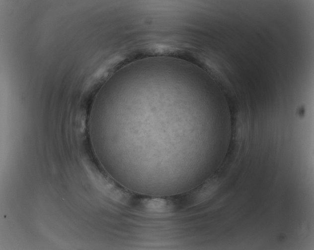 X0000116790230200912181302