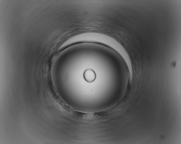 X0000116790231200912181302