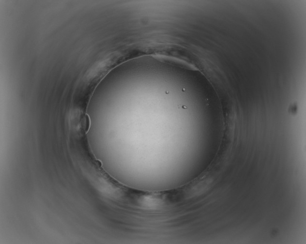 X0000116790232200912181301