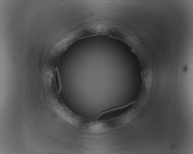 X0000116790235200912181301