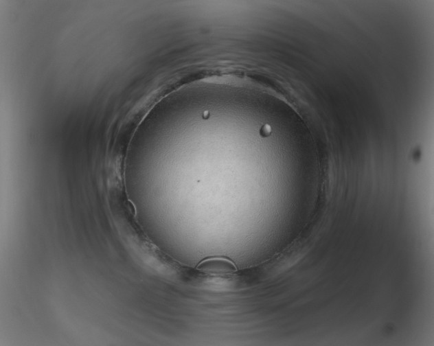 X0000116790236200912181301