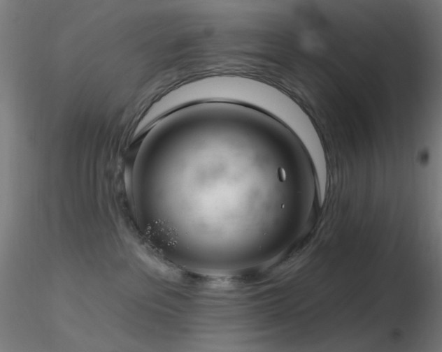 X0000116790237200912181301