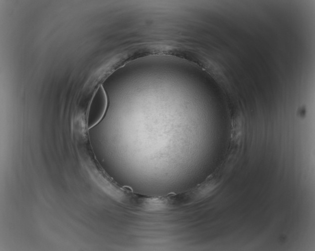 X0000116790238200912181301