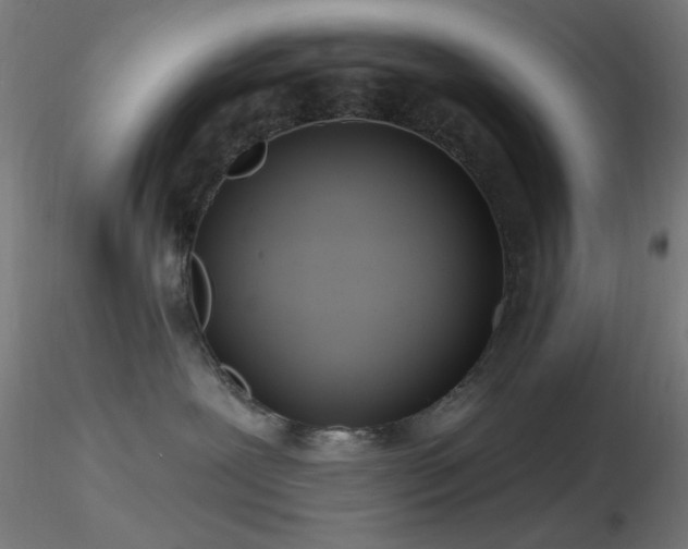 X0000116790239200912181301