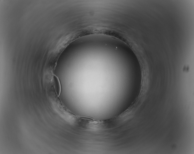 X0000116790240200912181301