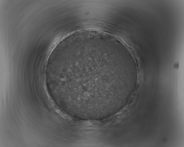 X0000116790241200912181300