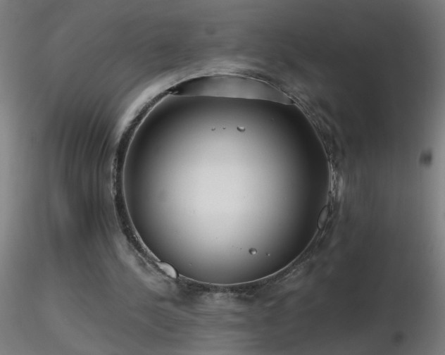 X0000116790244200912181300