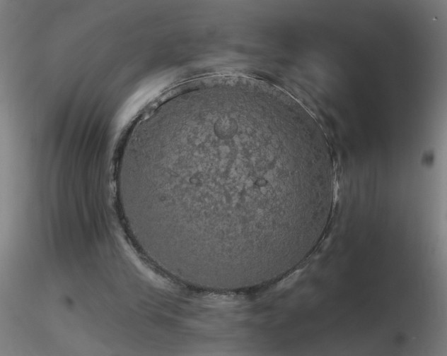 X0000116790245200912181300