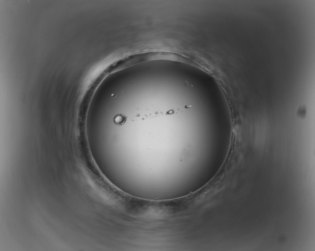 X0000116790248200912181300
