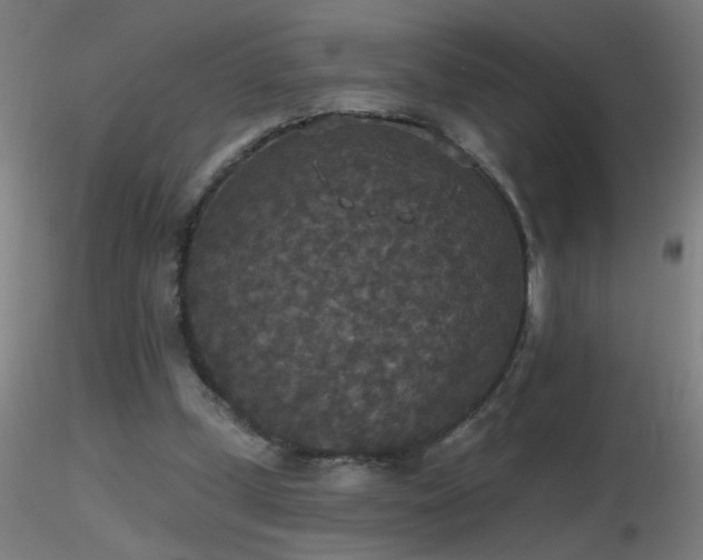X0000116790249200912181300