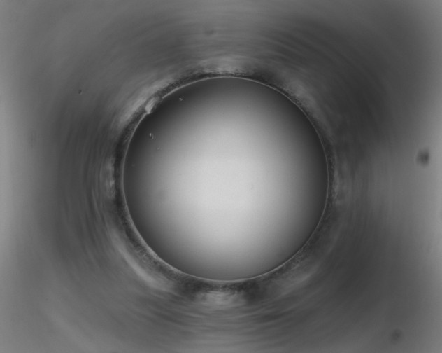 X0000116790251200912181301