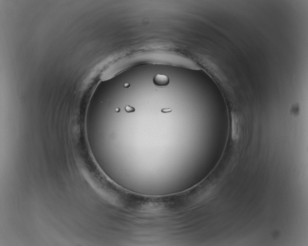 X0000116790252200912181301