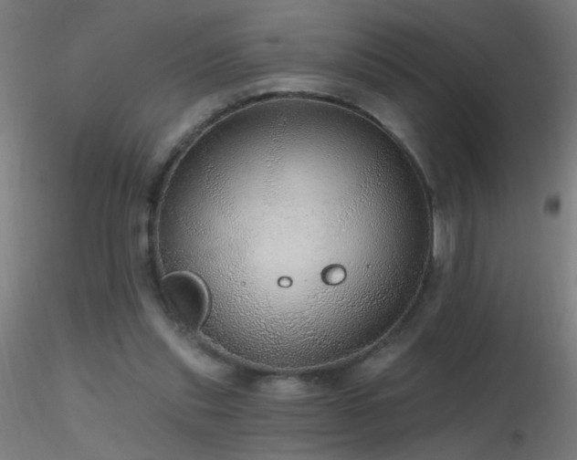 X0000116790253200912181301