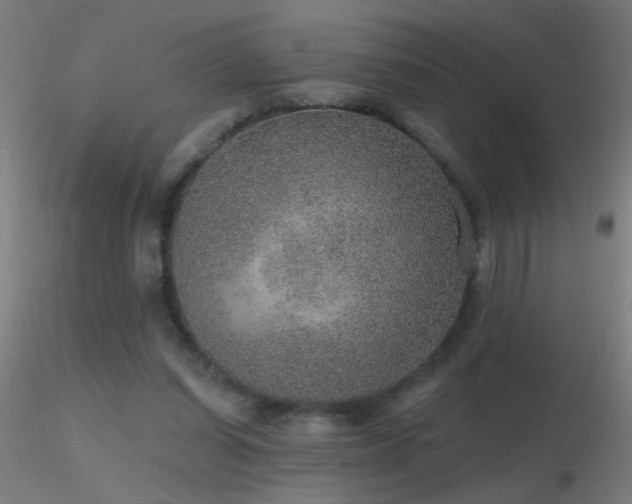 X0000116790254200912181301