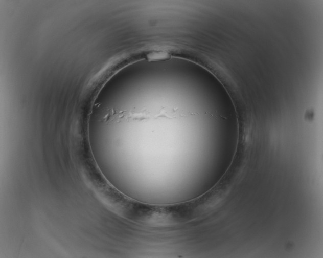 X0000116790256200912181301