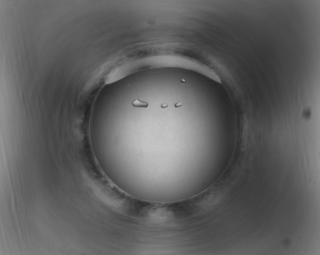 X0000116790258200912181301