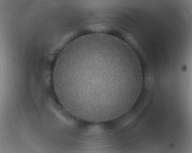 X0000116790259200912181301